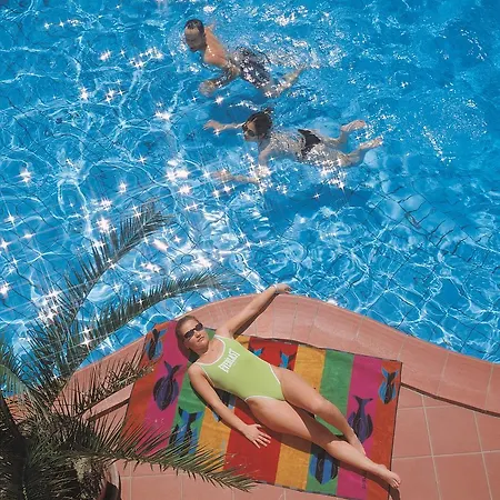 Calypso 체제나티코